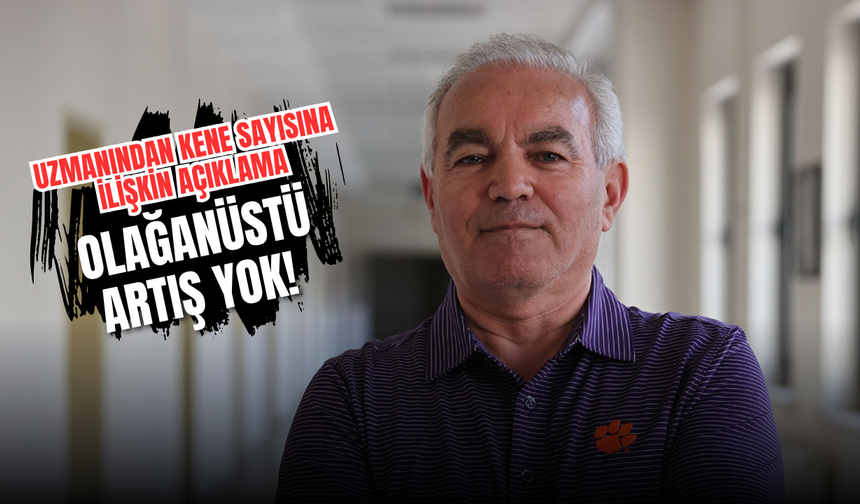 Uzmanından kene sayısına ilişkin açıklama: Olağanüstü artış yok!