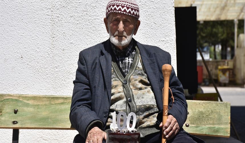 Sivas'ın  100 Yıllık Çınarı
