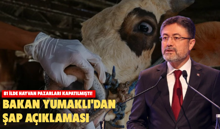 81 ilde hayvan pazarları kapatılmıştı! Bakan Yumaklı'dan şap açıklaması