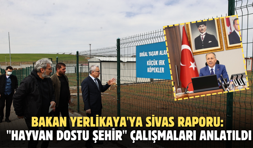 Bakan Yerlikaya'ya Sivas Raporu: "Hayvan Dostu Şehir" Çalışmaları Anlatıldı