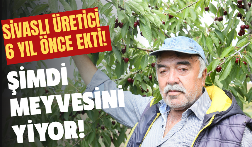 Sivaslı üretici 6 yıl önce ekti! Şimdi meyvesini yiyor!