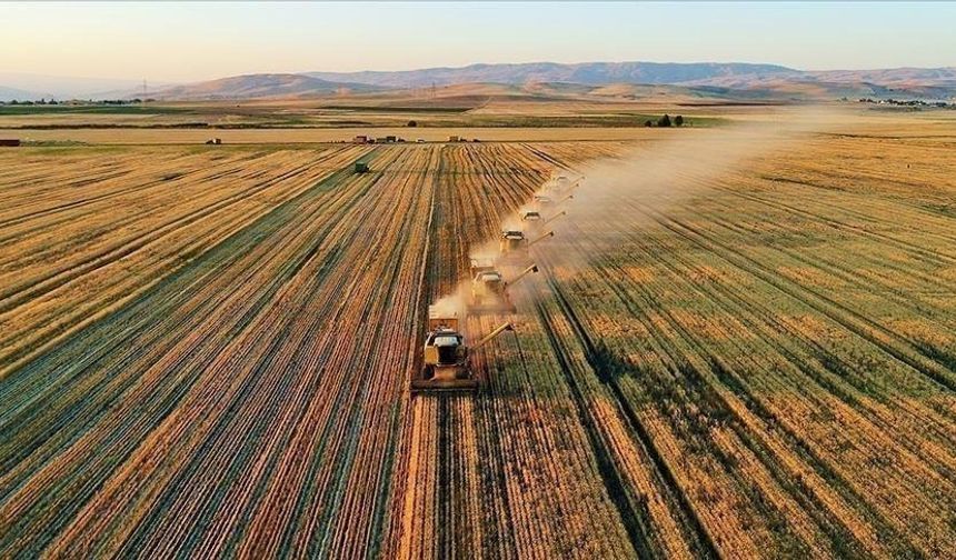 Tarım ve Orman Bakanlığı açıkladı! Başvurular 14 Temmuz'da