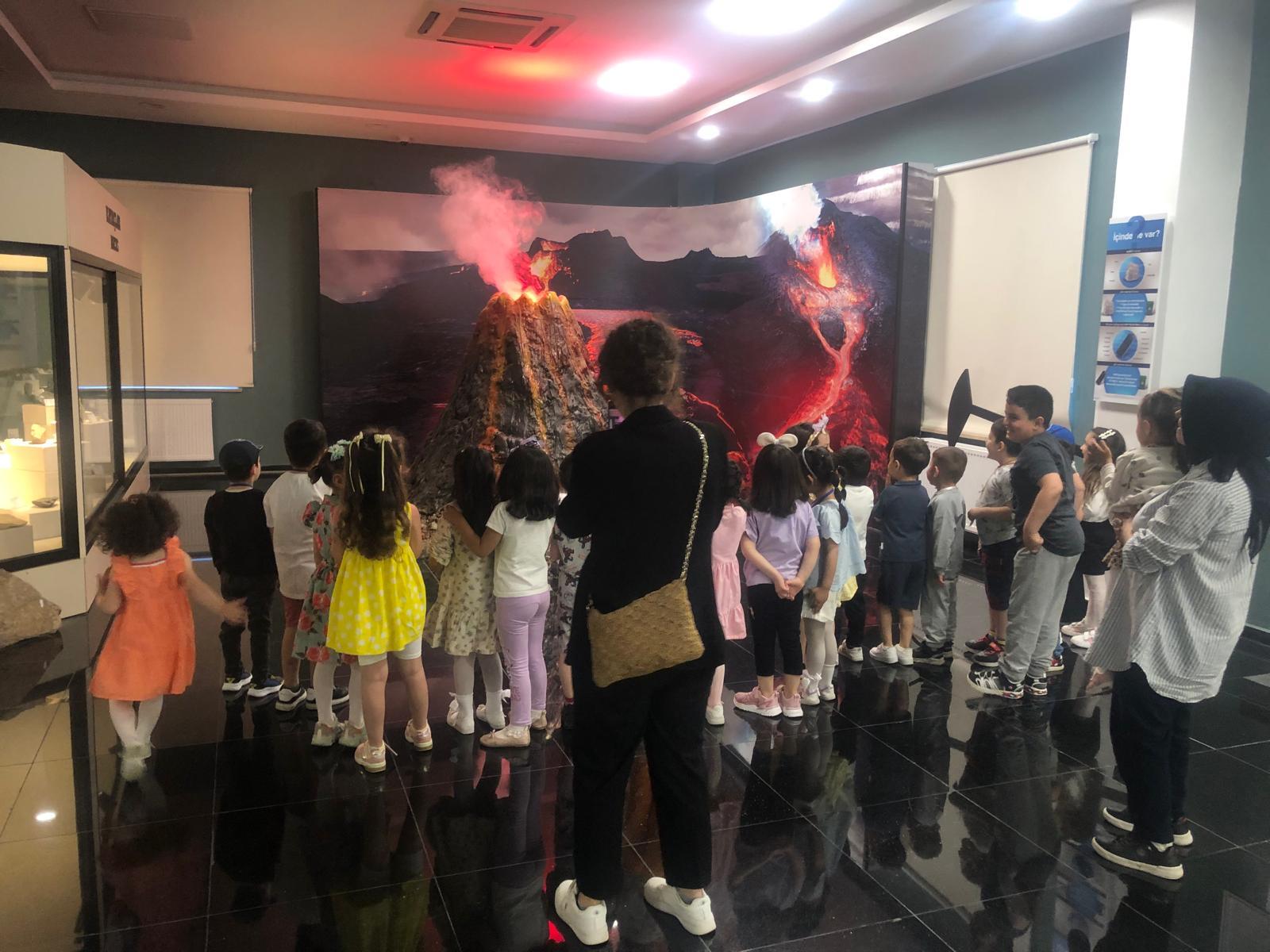 Sivas’ta Bulunan Tabiat Tarihi Müzesi Ziyaretçi Akınına Uğradı 