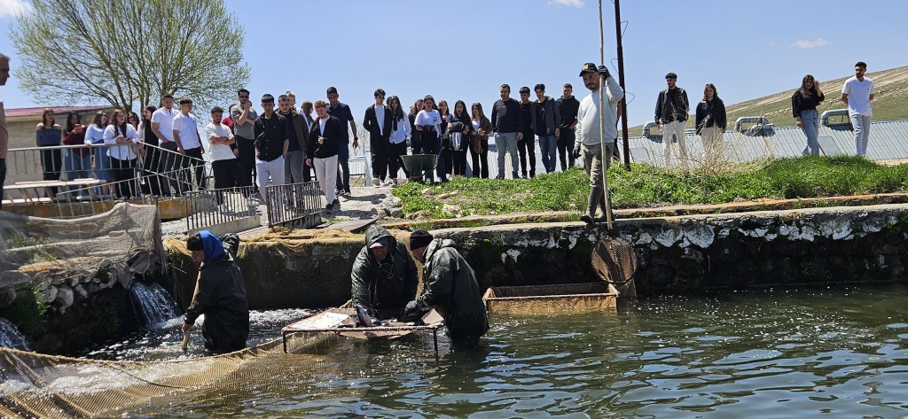 Alabalık üretimini  yerinde gözlemlediler