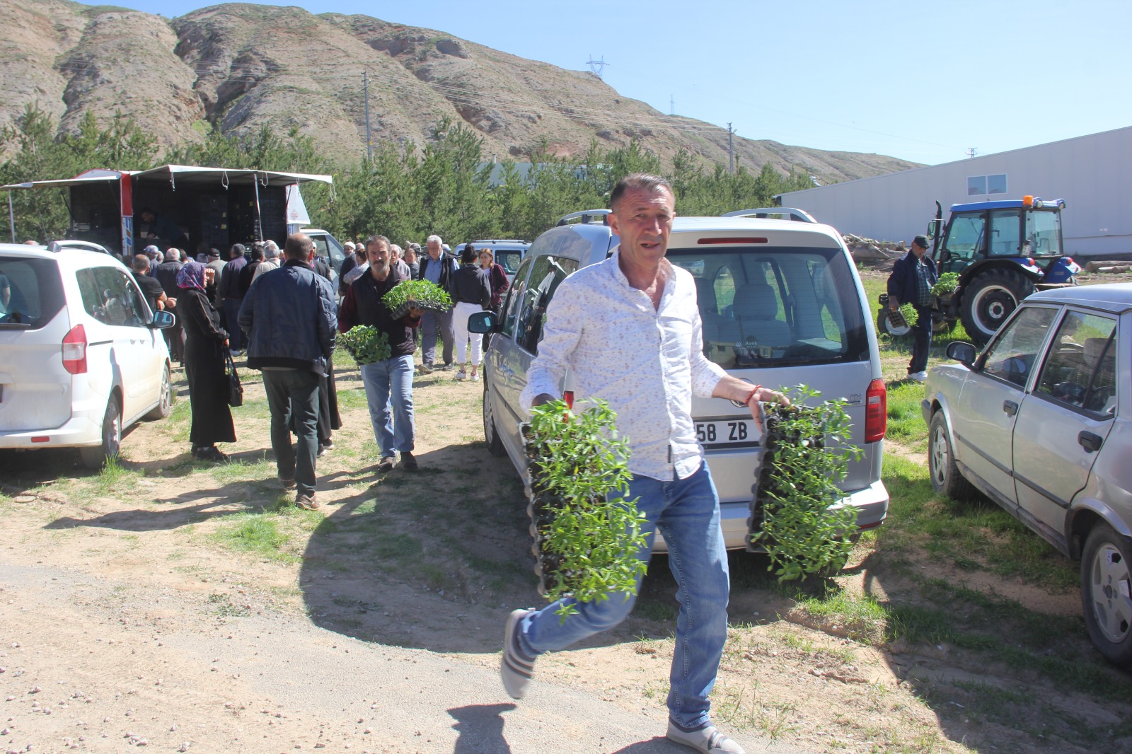 Sivaslı Çiftçilere Fide Tohumu 