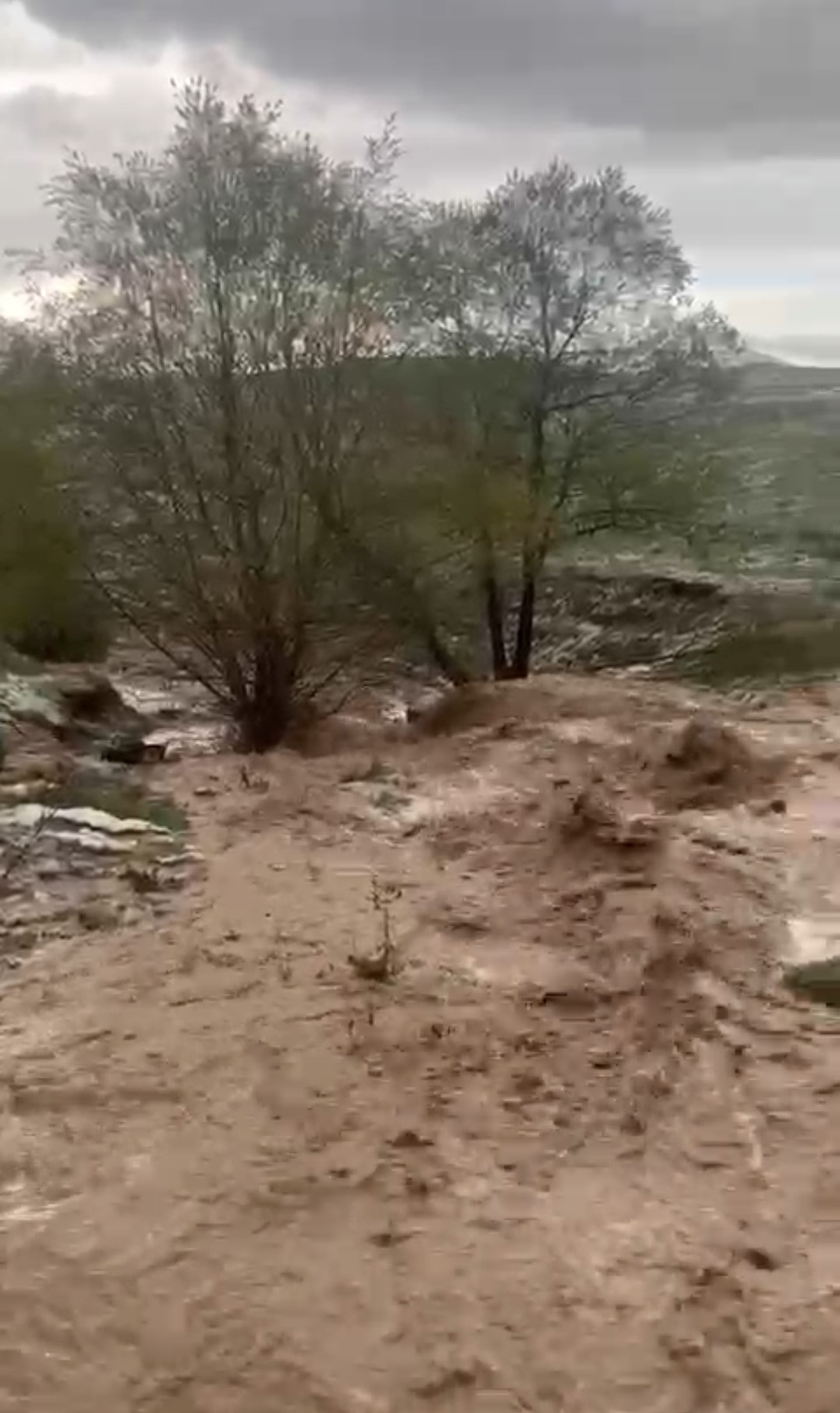 Sivas'ta tarım arazileri sular altında kaldı-2