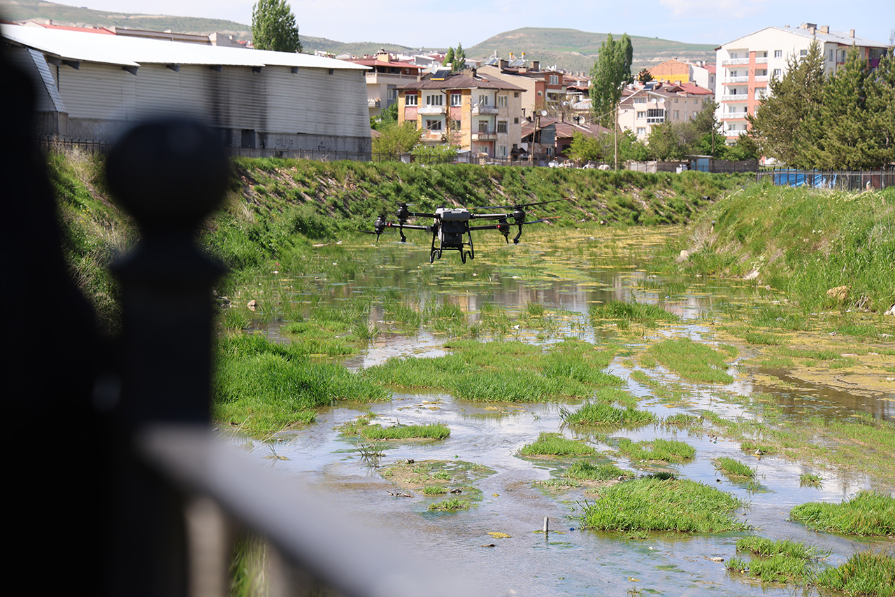 Sivas'ta keneye karşı dronlu  ilaçlama!