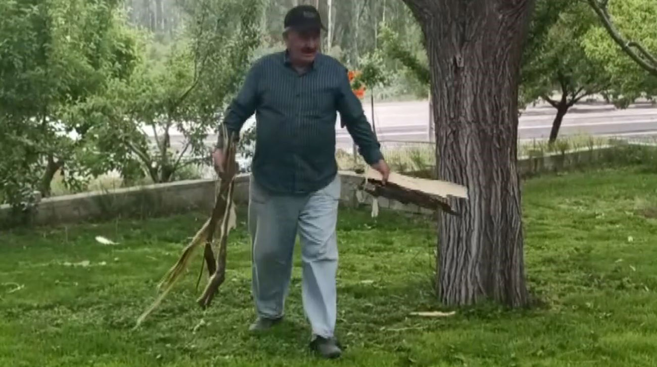 Şiddetli sesle evden dışarı çıktı! Gördüklerine inanamadı...