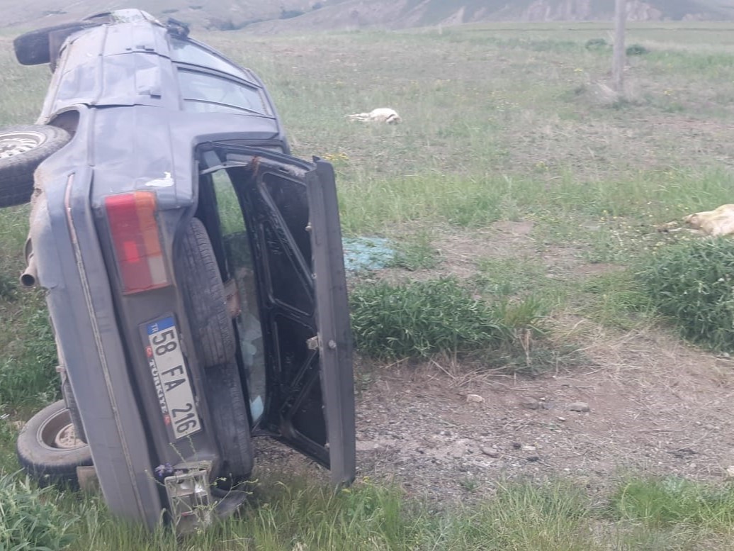 Sivas'ta otomobil koyun sürüsüne çarptı! 3 koyun telef olldu! 