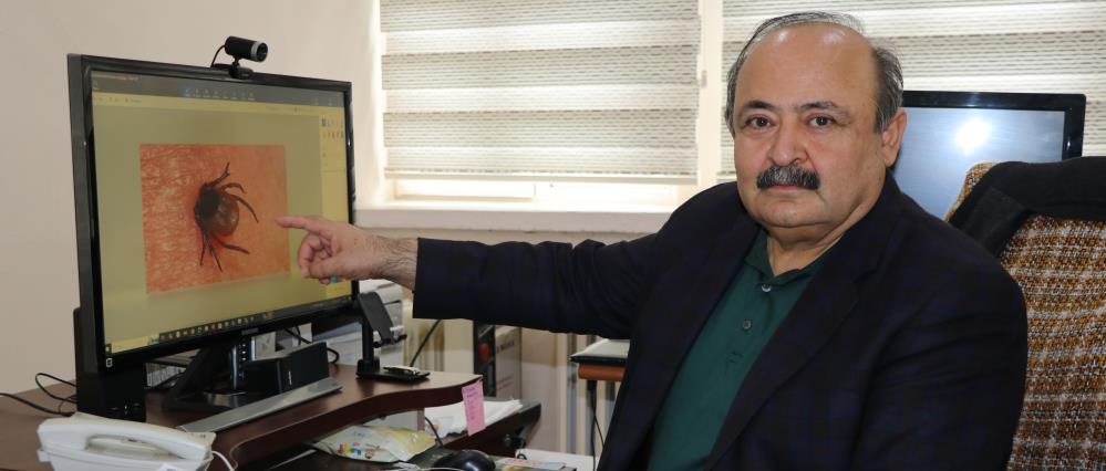Sivas ve Çevre İllerde Kene Alarmı: KKKA Vakaları Görülmeye Başlandı
