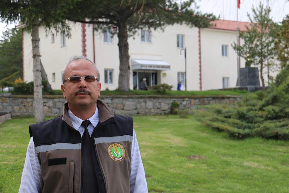 Sivas'ta yüzlerce kuzu annesiyle buluştu
