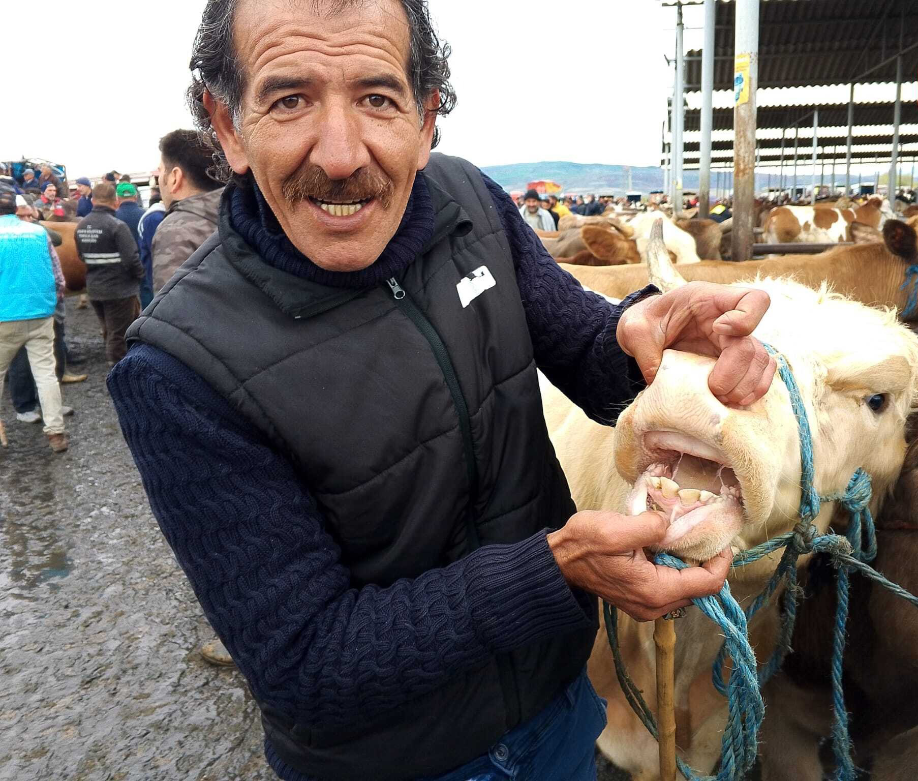 Burası Türkiye’nin En Büyük Hayvan Pazarı Ama... Satan Da Alan Da Memnun Değil-1