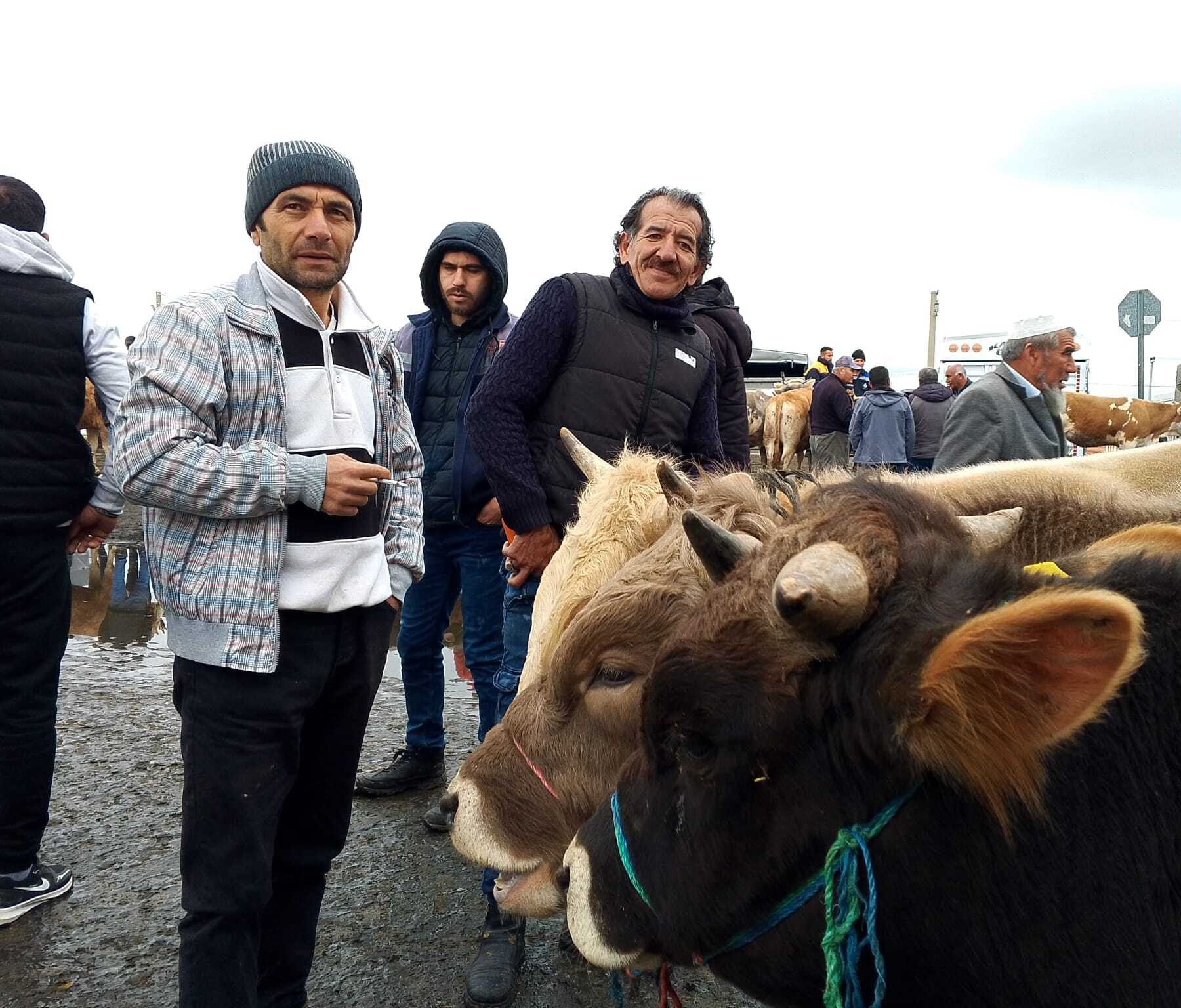 Burası Türkiye’nin En Büyük Hayvan Pazarı Ama... Satan Da Alan Da Memnun Değil!33