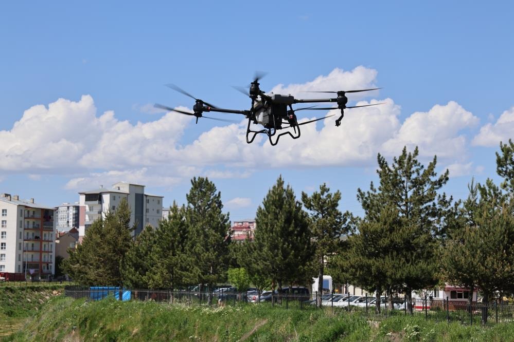 Sivas'ta keneye karşı dronla ilaçlama! 