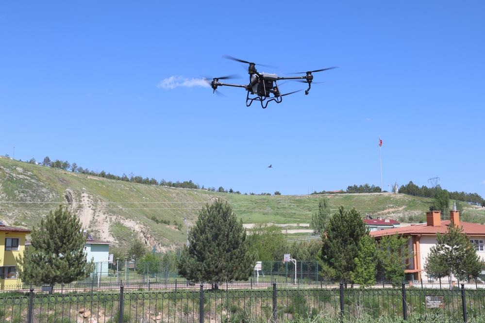 Sivas'ta keneye karşı dronla ilaçlama! 