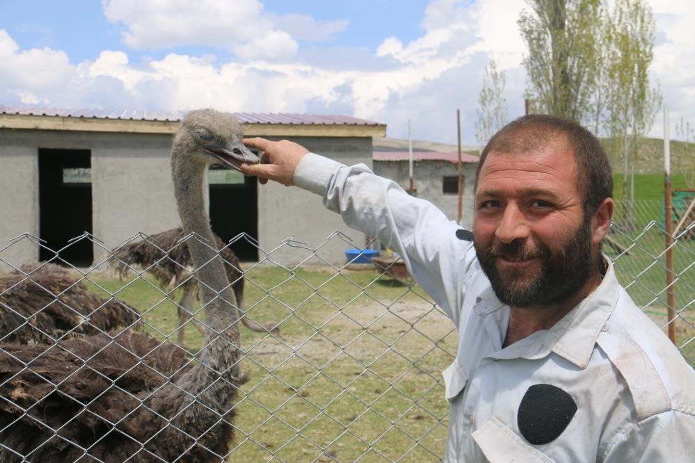Sivas'ın bozkırında  bu işi yapan tek kişi! 