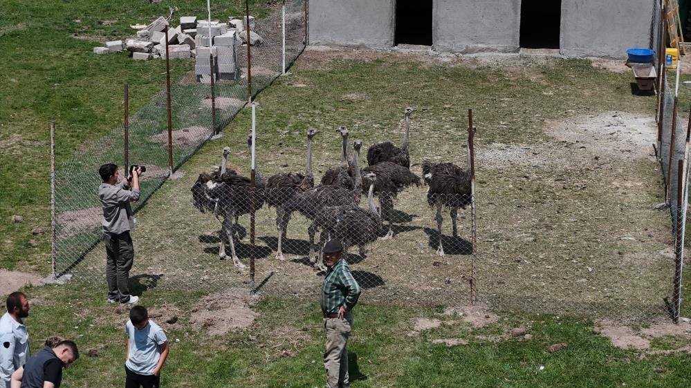 Sivas'ın bozkırında  bu işi yapan tek kişi! 