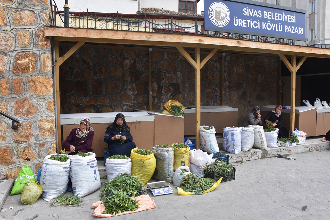 Sivas'ın Yeşil Altını: Madımak Hem Sofraları Hem Cepleri Dolduruyor