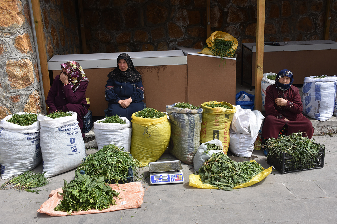 Sivas'ın Yeşil Altını: Madımak Hem Sofraları Hem Cepleri Dolduruyor