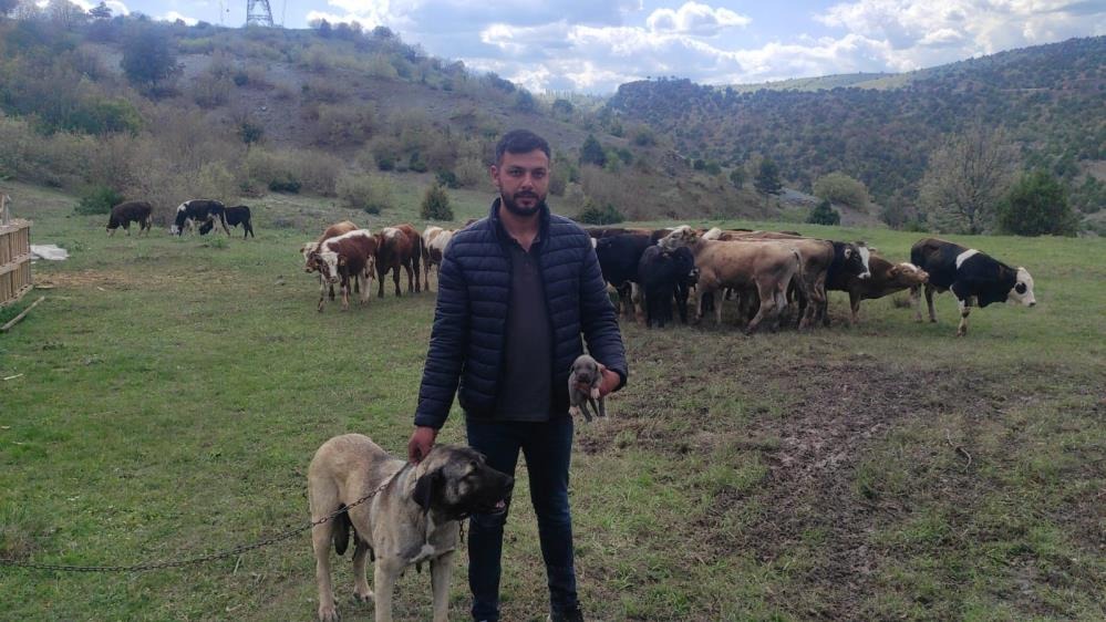 Sosyal Medyada Linç Edilmişti! Gerçek Bambaşka Çıktı 1