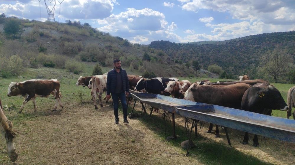 Sosyal Medyada Linç Edilmişti! Gerçek Bambaşka Çıktı 2