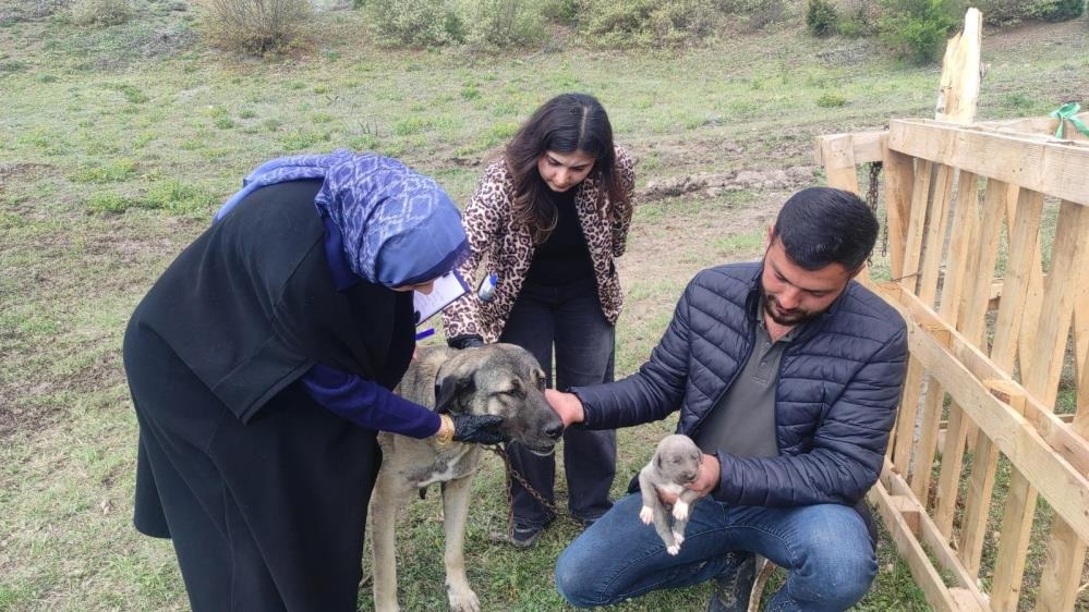 Sosyal Medyada Linç Edilmişti! Gerçek Bambaşka Çıktı