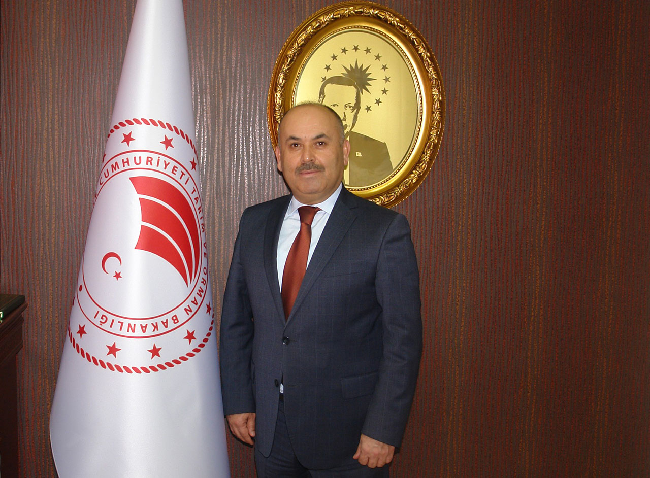 Sivas’ta Kurbanlık Sorunu Var Mı? Açıklama Geldi