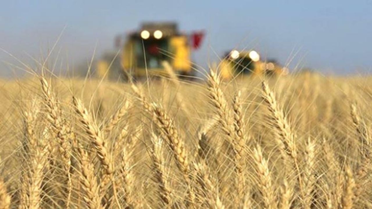 Sivas'a 220 milyonluk tarımsal destek! 