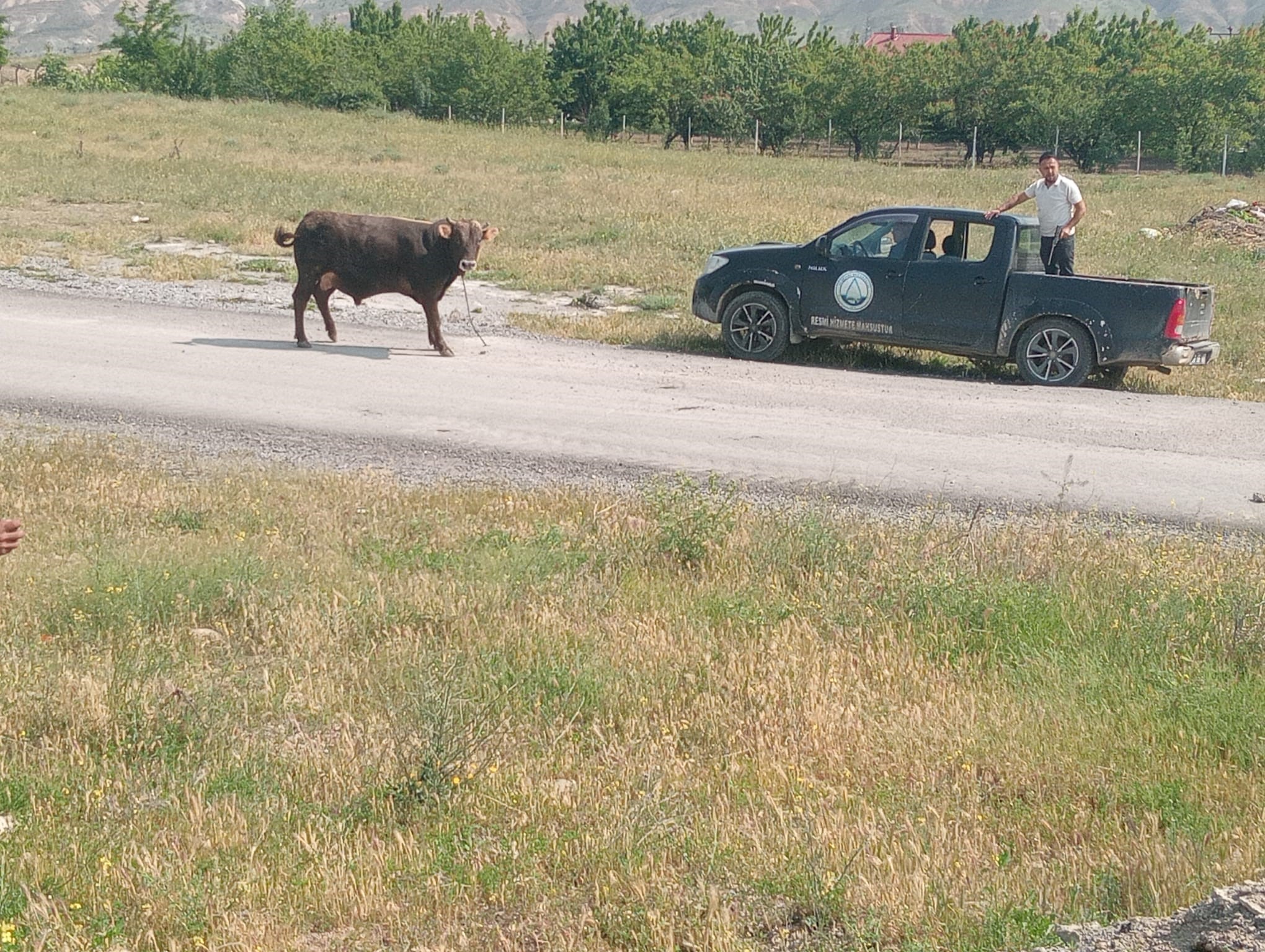 A W472016 03
