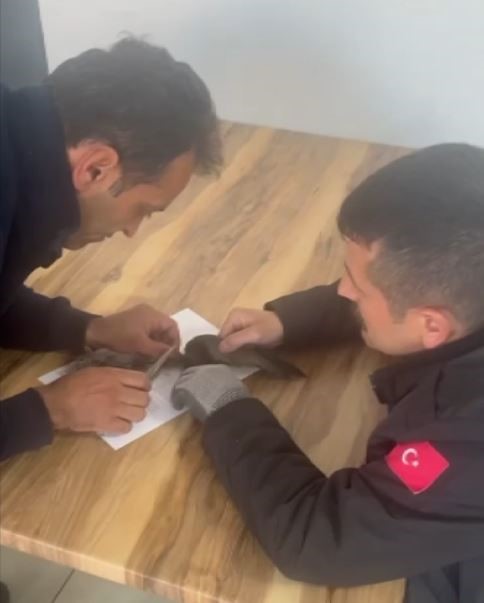 Sivas'ta ayağına ip takılan kuşu itfaiye kurtardı 