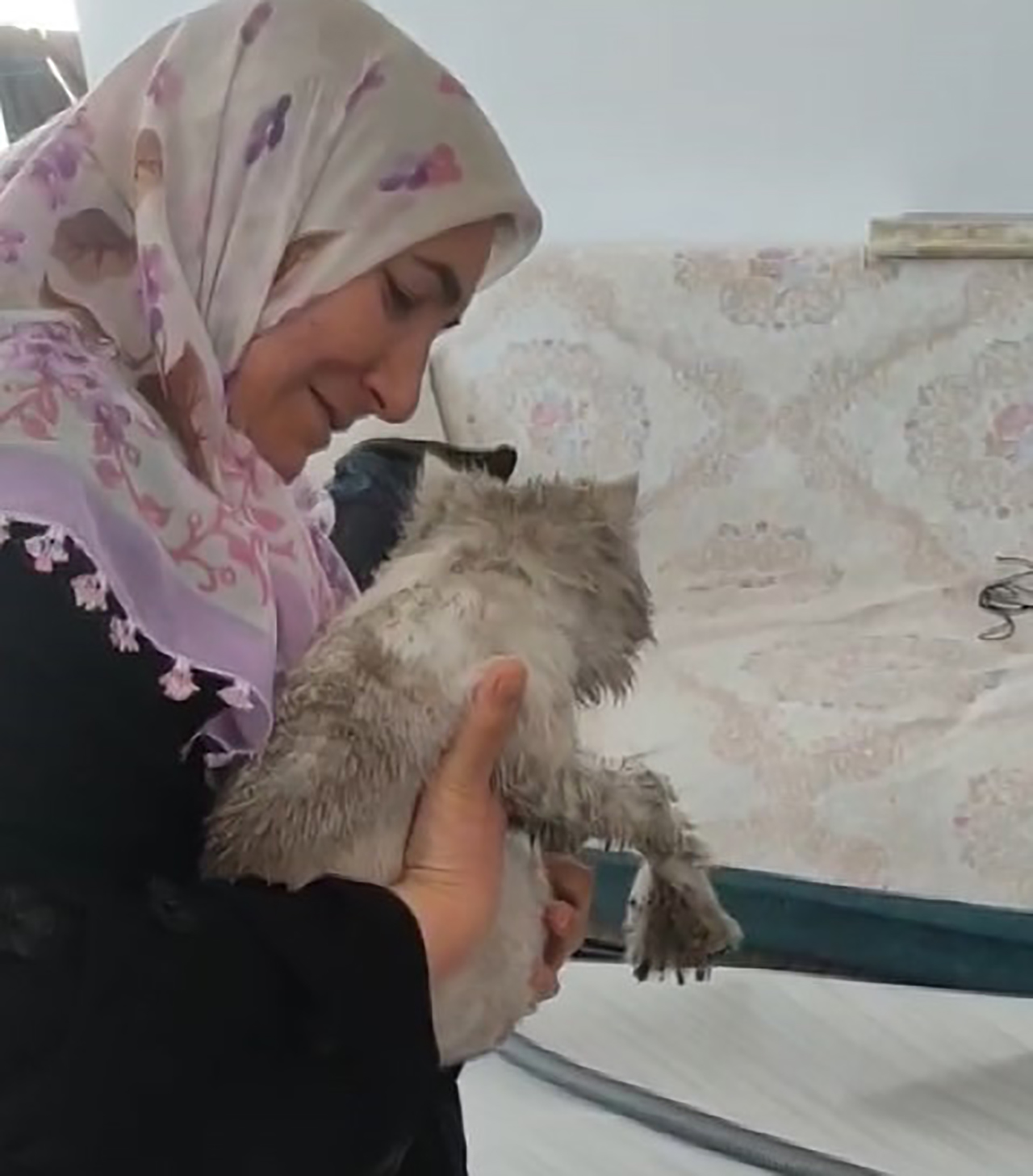 Bacada mahsur kalan kedinin imdadına itfaiye yetişti