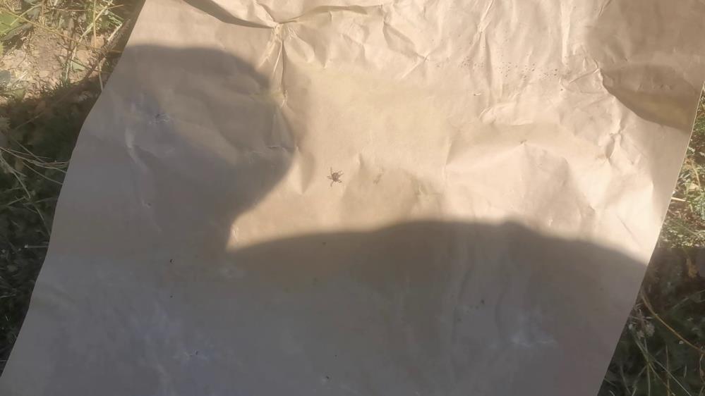 Sivas'tan kenelerle ilgili ilginç iddia! 