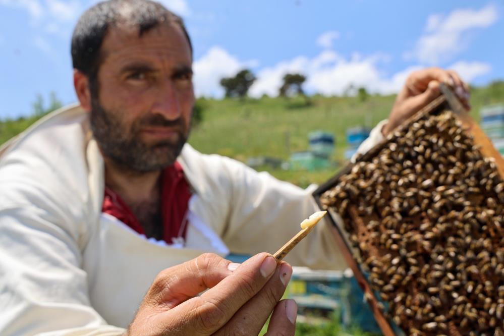 Kanserden Koruyan Altın Sıvı: Kilosu 45 Bin TL!