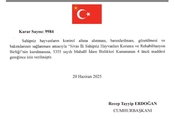 Sivas'ta Sahipsiz Hayvanları Koruma Birliği kurulacak! 