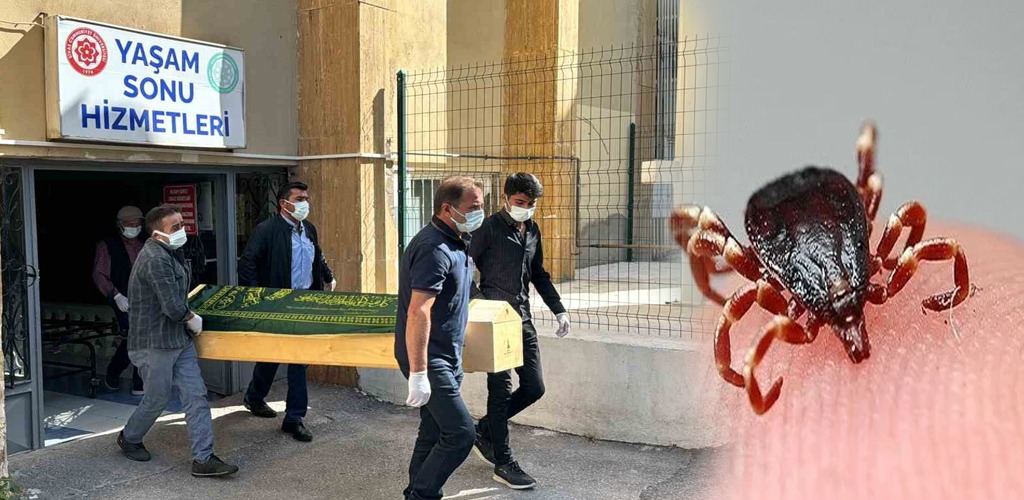 En çok kene görülen iller açıklandı! Bakın Sivas kaçıncı sırada!-1