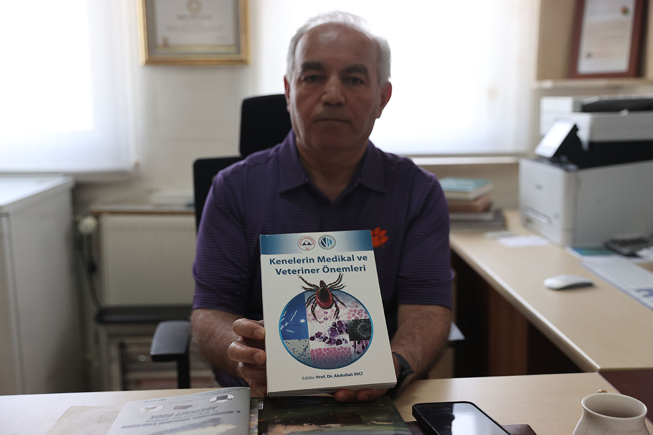 Uzmanından kene sayısına ilişkin açıklama: Olağanüstü artış yok! 