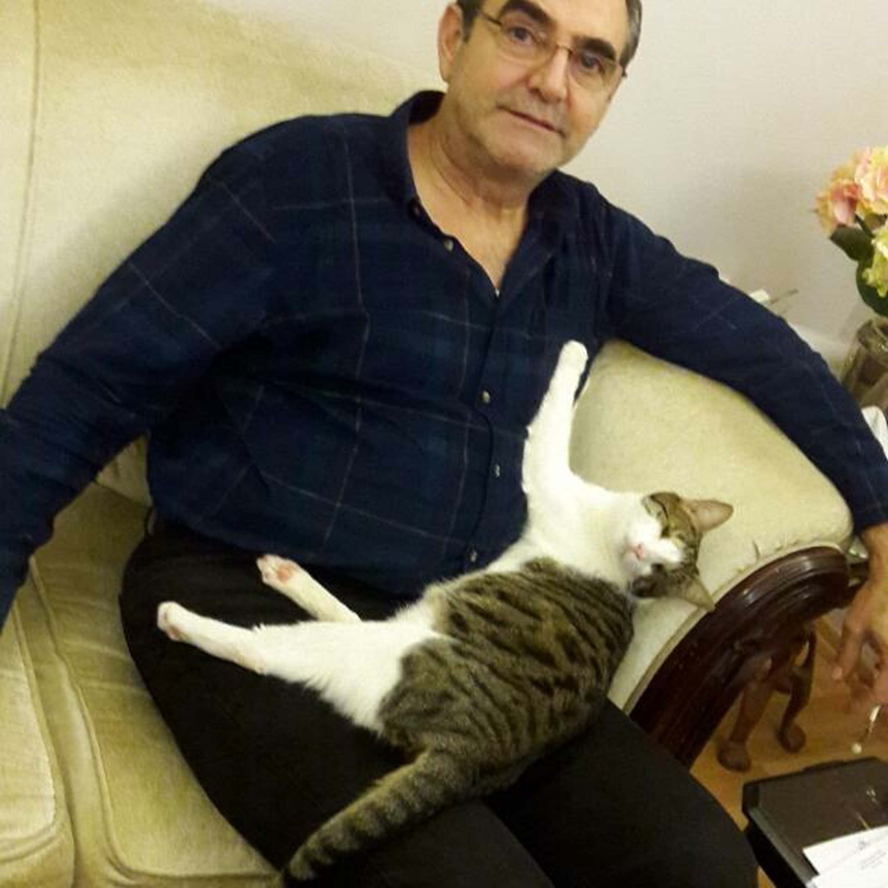 Zehirlendikleri öne sürülen 6 sokak köpeği ile 2 kedi öldü