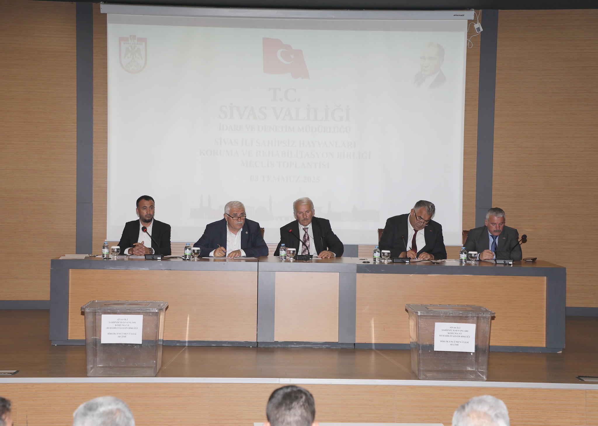 Meclis toplandı! Sivas'ta sahipsiz hayvan sorunu çözülecek! 